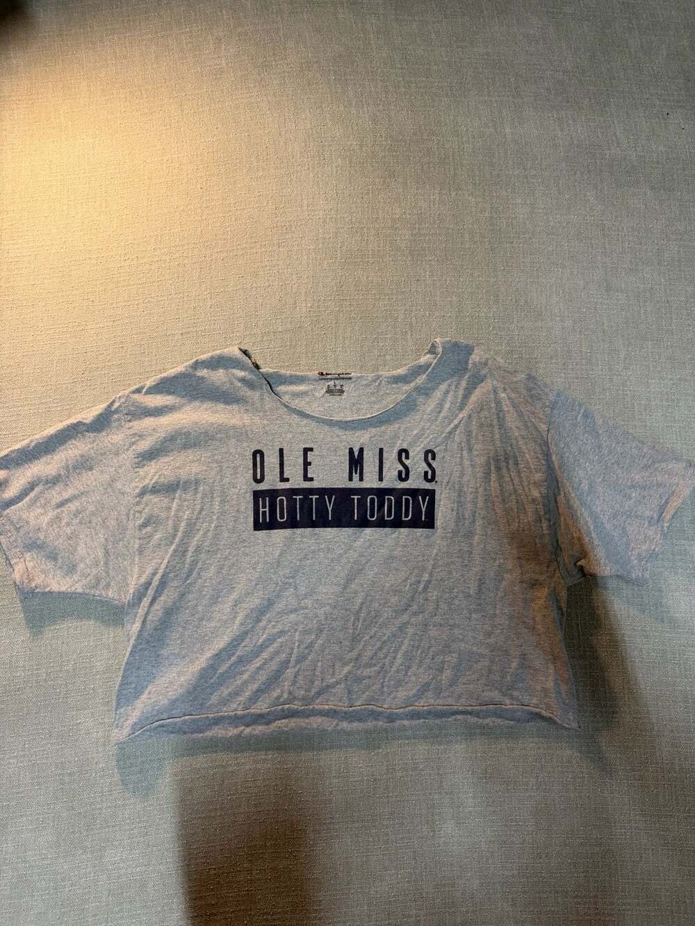 Champion Ole Miss Hotty Toddy Grey Crop T-Shirt Size L
